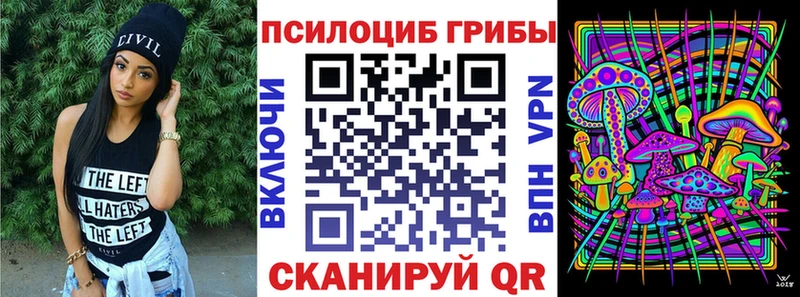 Псилоцибиновые грибы ЛСД Братск